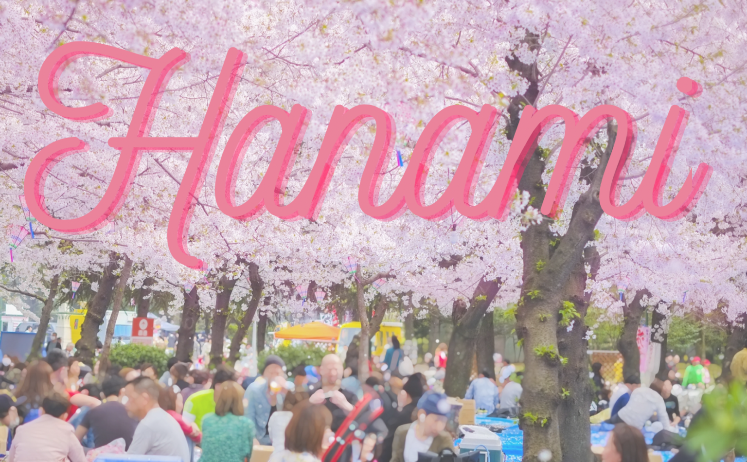 Hanami はなみ – Histoire et lieux à visiter – - Japania Learning