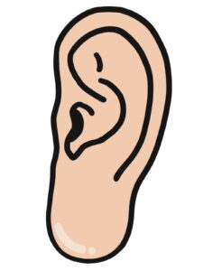 lobes d'oreille